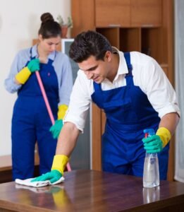Cleaner Jobs in Auckland
