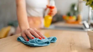 Cleaner Job in Auckland