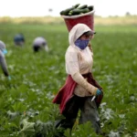 KBI Seed Processing Partnership