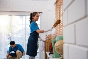 Cleaner or Housekeeper in New Zealand