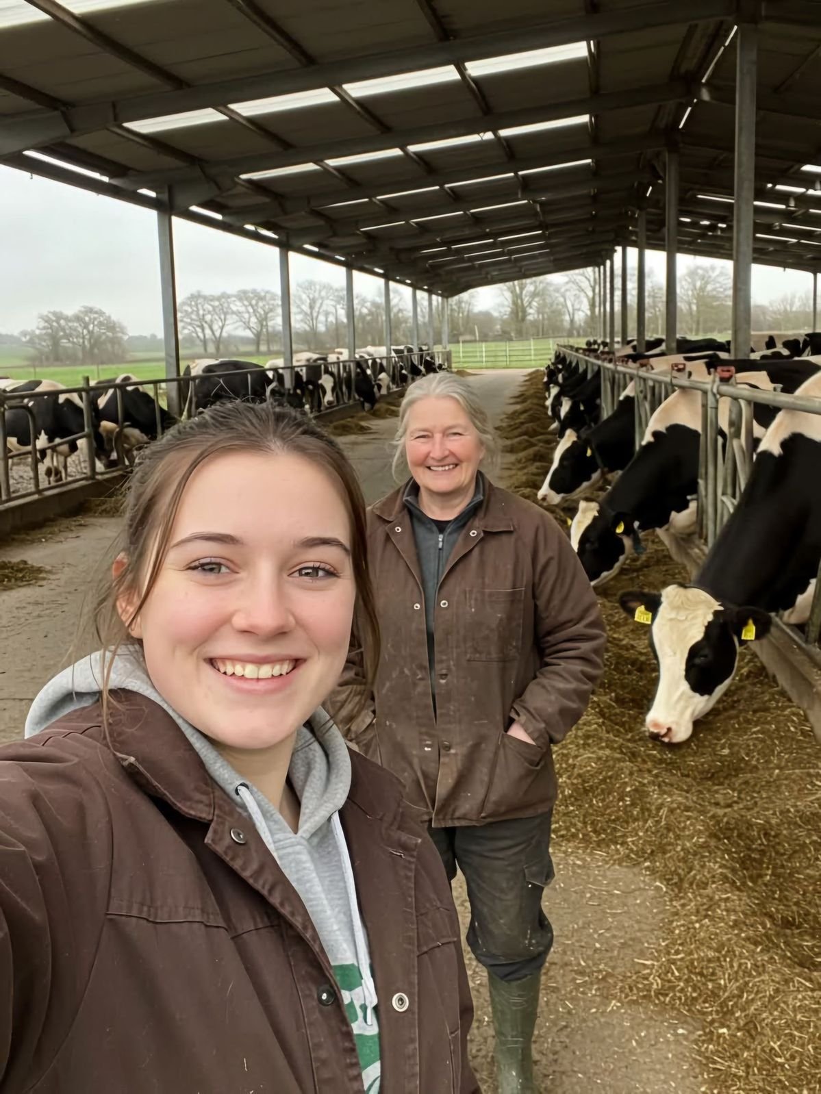 Dairy Farm Assistant Jobs in NZ