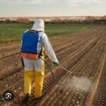 Farm Cleaner Jobs in NZ