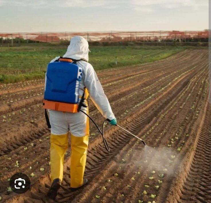 Farm Cleaner Jobs in NZ
