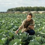 Farm Assistant Jobs in NZ