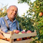 Fruit Picking and Farm Worker Jobs in Canada