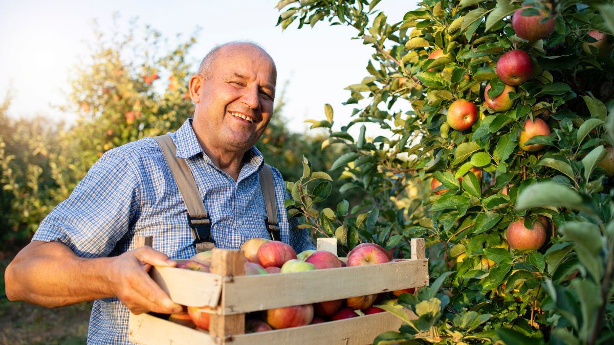 Fruit Picking and Farm Worker Jobs in Canada