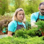 Landscaping and Gardener Jobs in Auckland