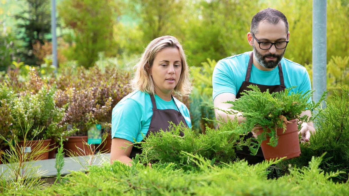 Landscaping and Gardener Jobs in Auckland