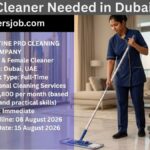 PRISTINE PRO CLEANING COMPANY