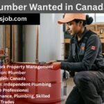 Royal York Property Management